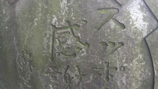 スッポンに感謝…