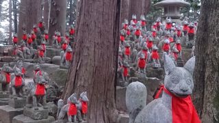 こんなに人気だったかな～