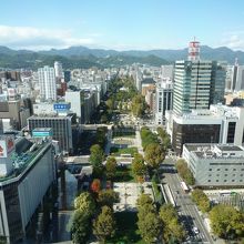 展望台からの眺め