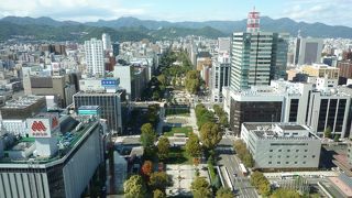 展望台から碁盤の目