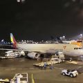 アシアナ航空105便・東京成田→ソウル仁川に搭乗しました。