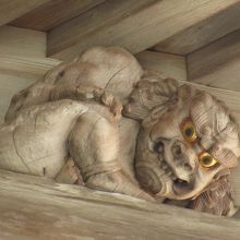 とても目力がありますね！