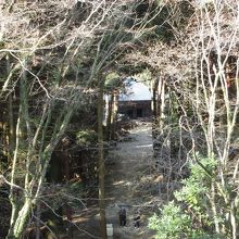 食堂の二階からも観えます。