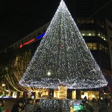 メインのツリー