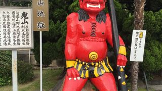 ワニがたくさんいます