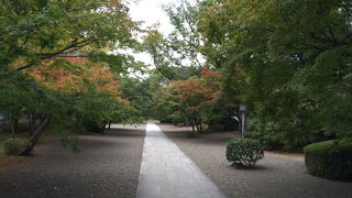 熊本城からかなり歩きます