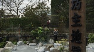 灰色の泥がボコボコと沸いてます