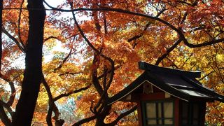 紅葉の頃もいい