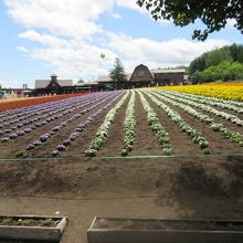 こんな場所もありました