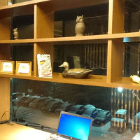 PCも出来る趣味の空間    ザ書斎「夢追い人」は４種類