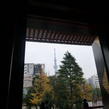 本堂から見えるスカイツリー