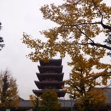 12月だというのにまだ紅葉の雰囲気です