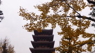 本堂とともに浅草寺を代表しています