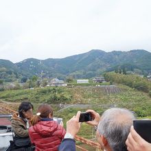 カートの上に立ちシャボン玉を飛ばしてくれる職員さん