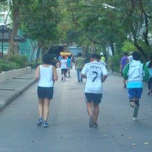 夕方も多くのランナーが