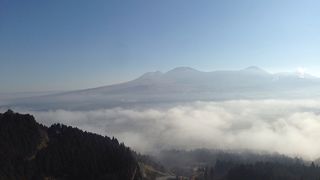 やっと来れた‼?