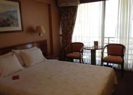 Pullman Vina del Mar San Martín (Ex Atton) 写真