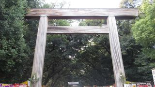 初詣・・・賑わっていました