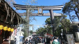 相撲、宝くじファンの聖地だね