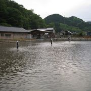 お洒落な管理釣り場