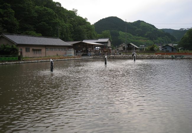 お洒落な管理釣り場