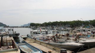 淡水湖の島で唯一の有人