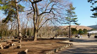 東大寺から春日大社を包含する広大なエリア