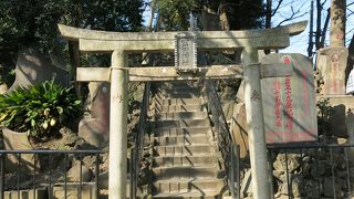 小さな山で富士登山