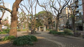 増上寺を囲んでます