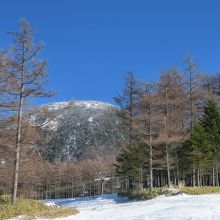 篭の登山が見えますなぁ