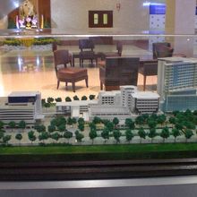 緑に包まれた広大な敷地内に複数の病院棟が散在しています。