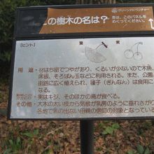 自転車の通る道の途中に、このようなクイズがありました！