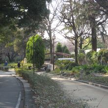 歩行者用と自転車用の道です