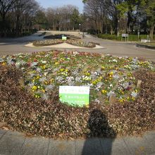 スポンサー看板付きの花壇