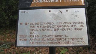 ランニングしている人が多かった