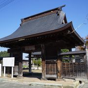 見どころは、入母屋造りで平棟門形式という山門