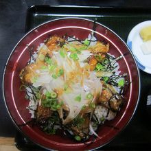カキカバ丼