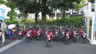 ベイサイドを走りたい