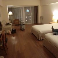 広くてきれいです