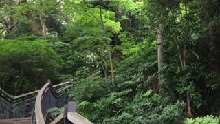 フランス軍の駐屯地