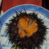 殻付き生うに、美味しかった！