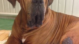 一見の価値あり