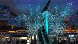 イルミネーションの嵐でした