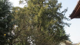 黒門の近くです