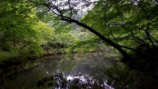 とても美しい場所でした