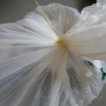 １日遅れて届きました