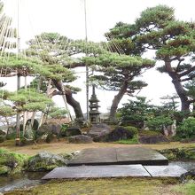 遠目にしか見れないのが残念…