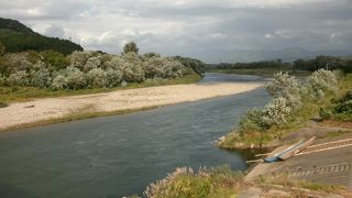 緑が多い自然豊か