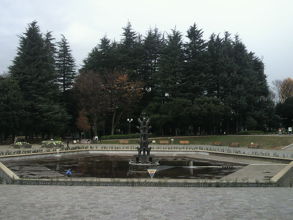 世田谷公園の中央にある噴水です。大きな噴水です。