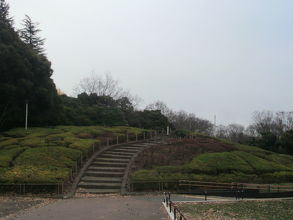 世田谷公園の中央部分ある緑の丘です。噴水の東側にあります。